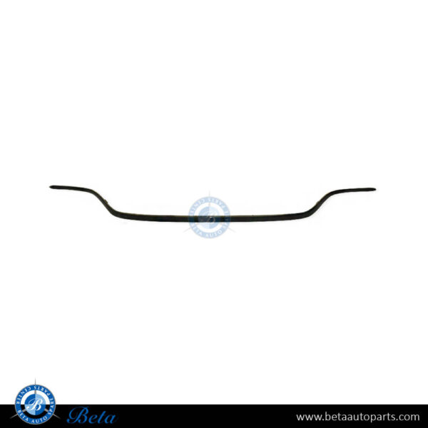 Mercedes E-Class W213 (2017-2020), Rear Diffuser Moulding for Normal AMG - Black (Center), China, 2138857001