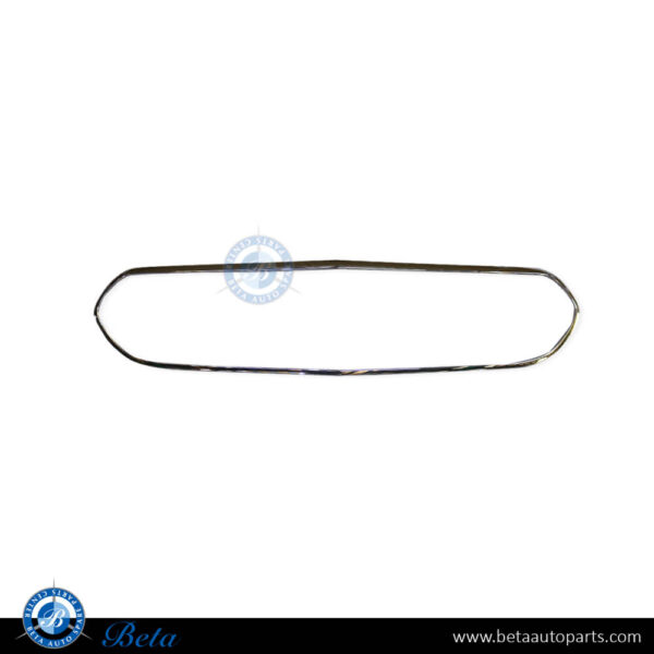 Mercedes E-Class W213 (2021-2023), Radiator Grille Frame Moulding Avantgarde (Silver), China, 2138883300