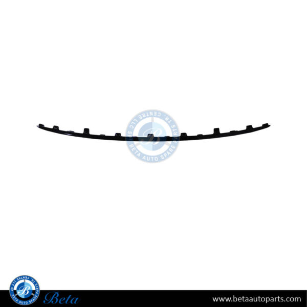 Mercedes E-Class W214 (2024-Up), Front Bumper Moulding Normal AMG Black (Center), China, 2148854802