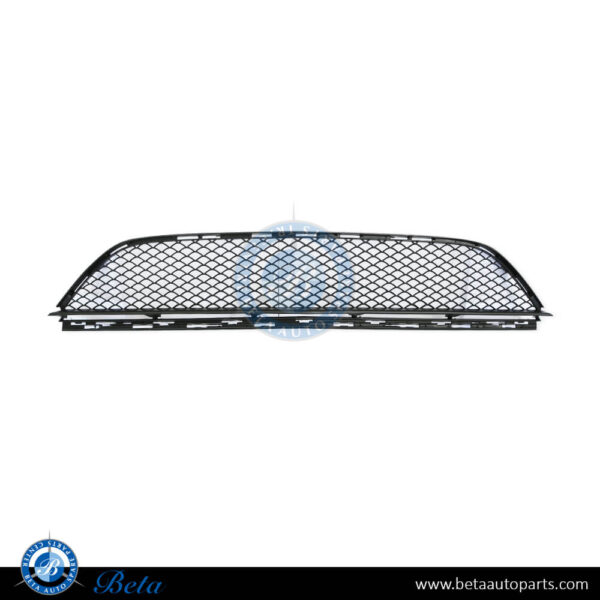 Mercedes CLS-Class W218 (2015-2018), Front Bumper Lower Grille Normal AMG (Center), China, 2188850024