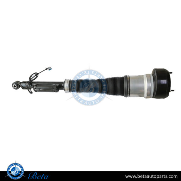 Mercedes S-Class W221 (2006-2013), Rear Air Suspension (Left), China, 2213205513