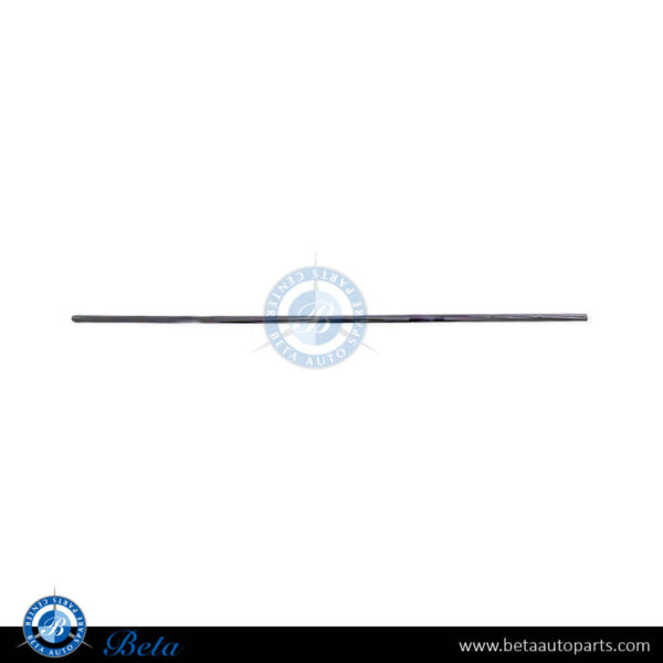 Mercedes S-Class W221 (2006-2013), Rear Door Moulding Long - Chrome (Right), China, 2216904680 / 2216902680