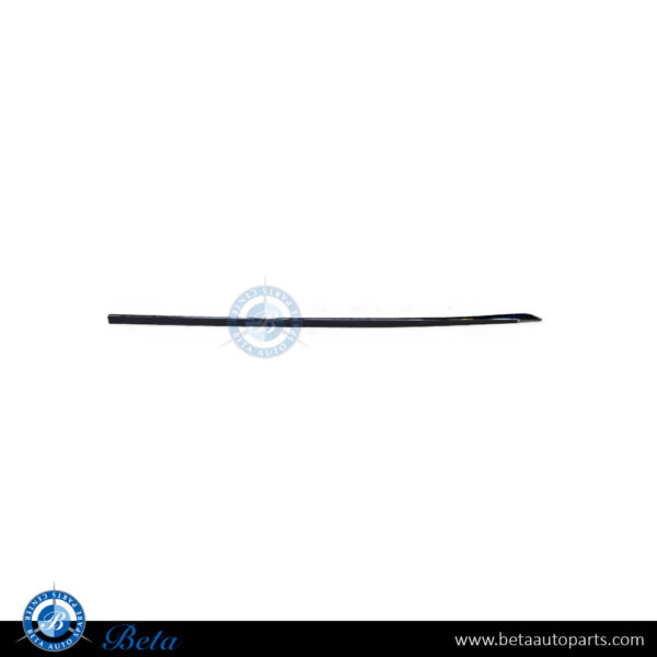 Mercedes S-Class W222 (2018-2020), Rear Door Moulding - Chrome (Left), China, 2226908701