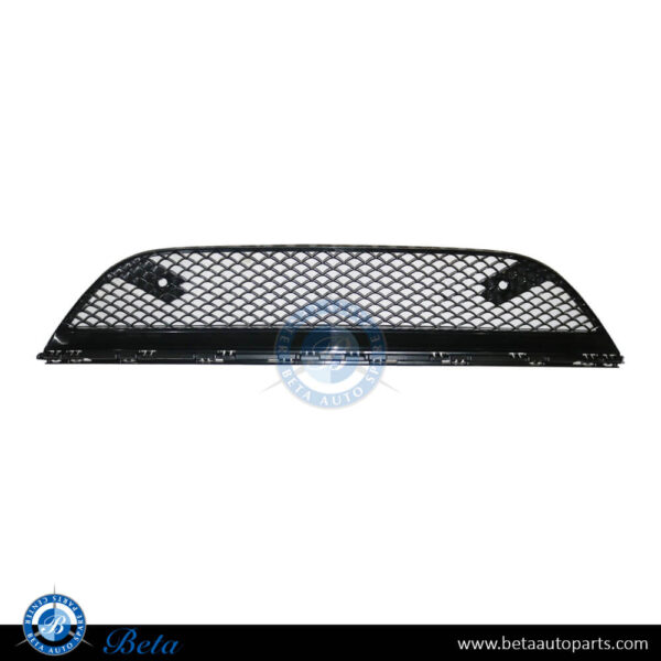 2228857100-mercedes-s-class-w222-front-bumper-lower-grill-normal-amg-center-china-spare-parts-1.jpg Mercedes S-Class W222 (2018-2020), Front Bumper Lower Grille Normal AMG (Center), China, 2228857100