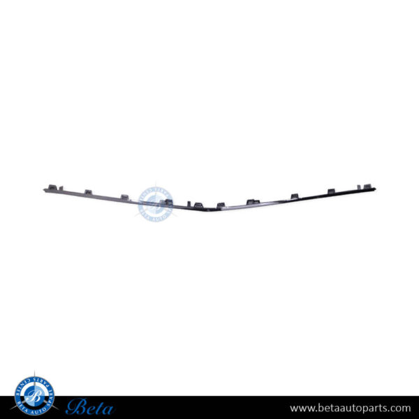 Mercedes S-Class W223 (2021-Up), Front Bumper Lower Moulding AMG - Silver (Center), China, 2238851402