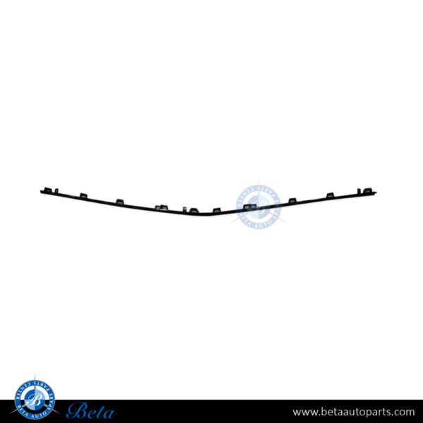 Mercedes S-Class W223 (2021-Up), Front Bumper Lower Moulding AMG - Black (Center), China, 2238855302