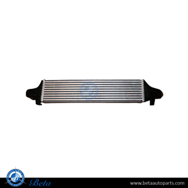Mercedes W176 / W246 / C117 / X156  (2012-2018), Intercooler, China, 2465000100