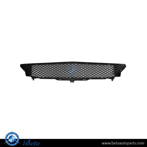 Mercedes B-Class W246 (2012-2014), Front Bumper Lower Grille (Center), China, 2468851122