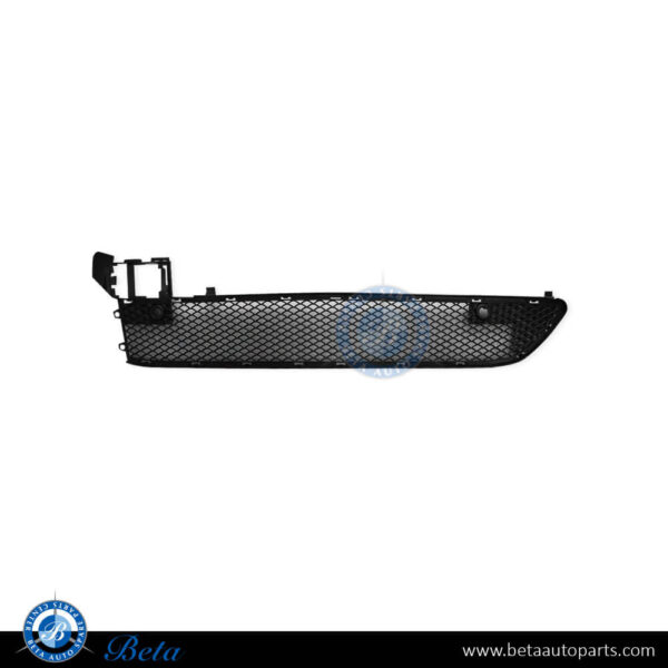 Mercedes B-Class W246 (2015-2018), Front Bumper Lower Grille (Center), China, 2468852322