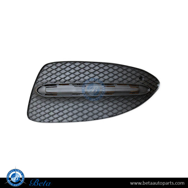 Mercedes B-Class W246 (2015-2018), Front Bumper Lower Grille - Night Package (Left), China, 2468852722