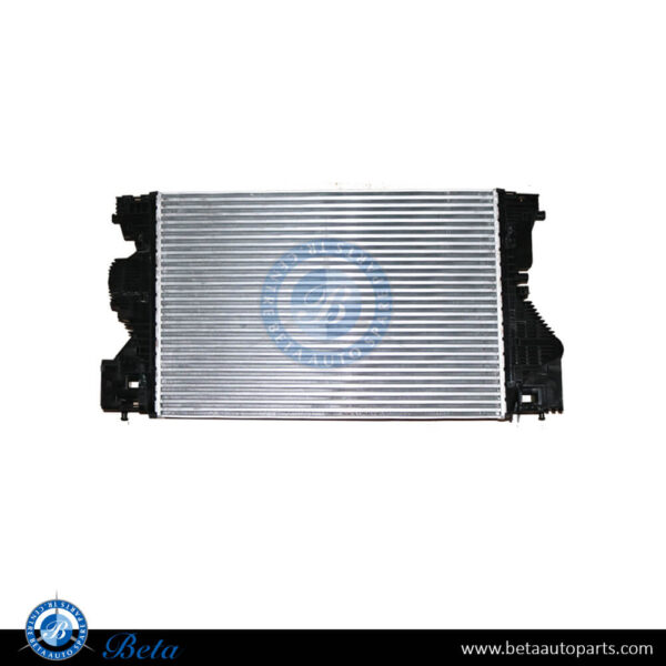 2475000100-mercedes-c118-w177-w247-x247-h247-intercooler.jpg Mercedes C118 / W177 / W247 / X247 / H247 (2019-Up), Intercooler, China, 2475000100