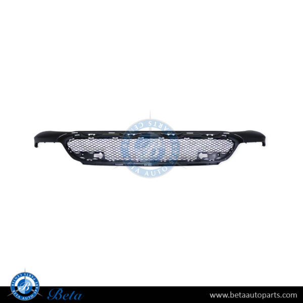 Mercedes GLC-Class W253 / C253 (2016-2019), Front Bumper Inner Grille (Center), China, 2538850565