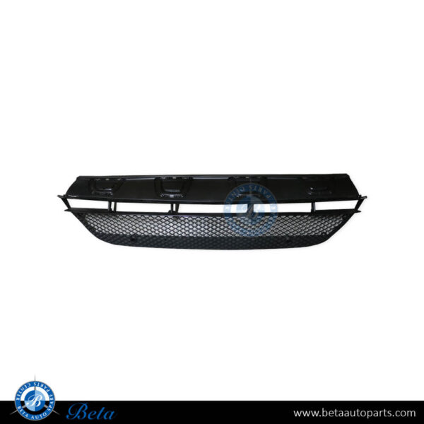 Mercedes GLC-Class W253 / C253 (2016-2019), Front Bumper Lower Grille Normal AMG (Center), China, 2538852400