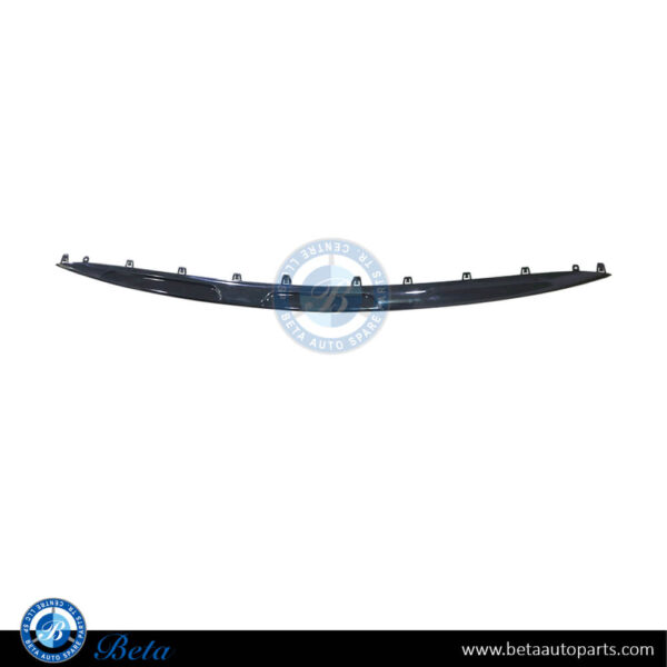 Mercedes GLC-Class X254 / C254 (2023-Up), Front Bumper Lower Moulding Normal AMG Black (Center), China, 2548806501