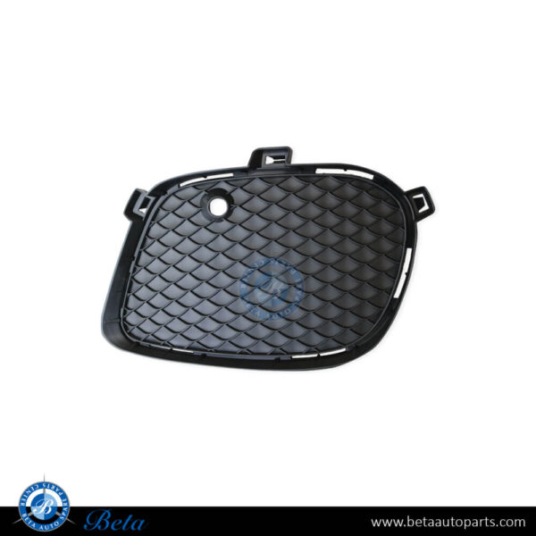 2928855422-mercedes-gle-class-gls-class-w166-c292-x166-fog-lamp-cover-normal-amg-right.jpg Mercedes GLE-Class / GLS-Class W166 / C292 / X166 (2015-2019), Fog Lamp Cover Normal AMG (Right), China, 2928855422