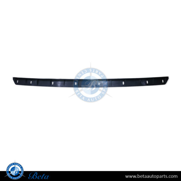 3W3807277A-bentley-continental-gt-grille-strip-spare-parts-1.jpg Bentley Continental GT (2012-2015), Radiator Grille Strip, China, 3W3807277A