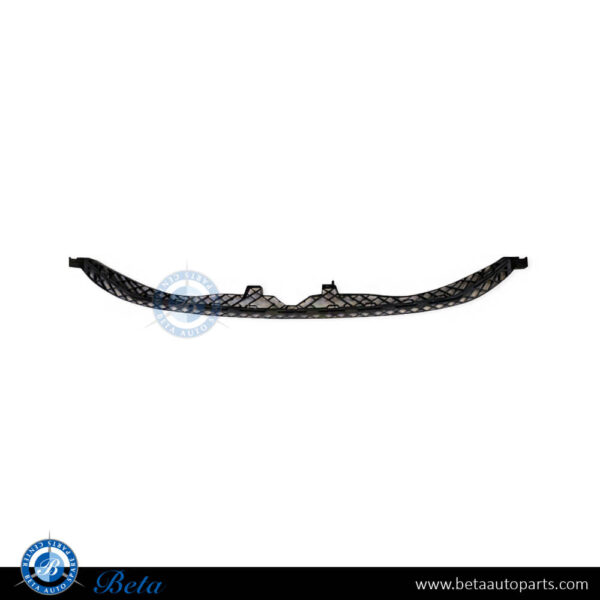 Volkswagen Passat (2015-2019), Radiator Grille Bracket, China, 3G0807889