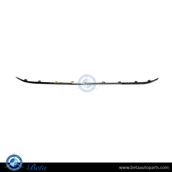 Volkswagen Passat (2015-2019), Front Bumper Moulding - Chrome (Center), Taiwan, 3G0853245
