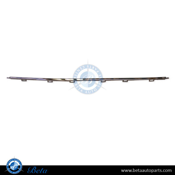 Volkswagen Passat (2015-2019), Rear Bumper Moulding - Chrome (Center), Taiwan, 3G0853835