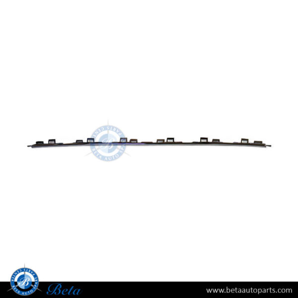 Volkswagen Passat (2015-2019), Rear Bumper Moulding - Chrome (Center), China, 3G0853835