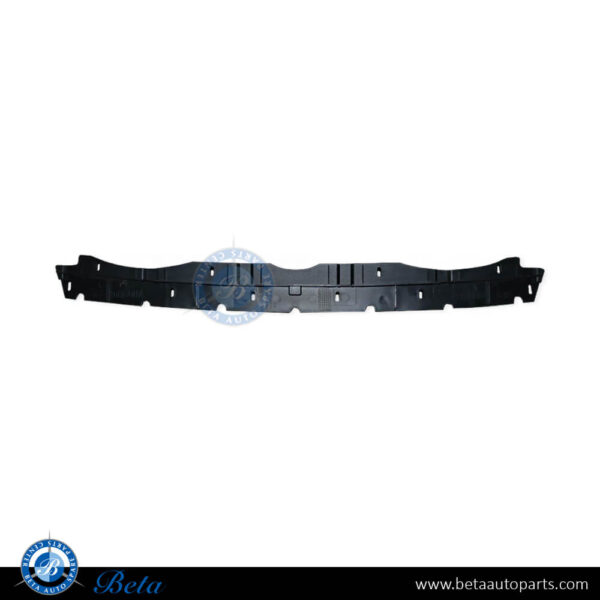 3w3807277e-bentley-continental-gt-radiator-grille-strip.jpg Bentley Continental GT (2016-2017), Radiator Grille Strip, China, 3W3807277E