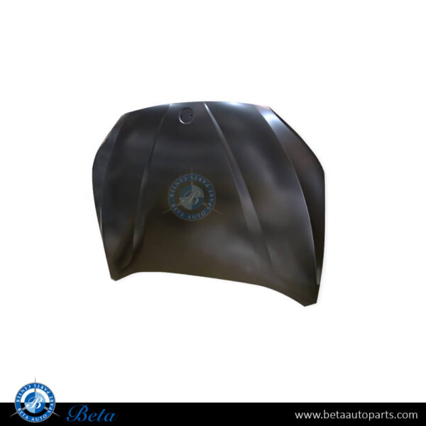 BMW X1 E84 (2009-2015), Hood (Steel), Taiwan, 41002993151