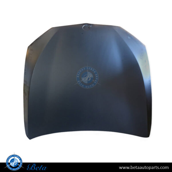 41007440427-bmw-5-series-g30-hood-aluminum.jpg BMW 5 Series G30 (2017-2023), Hood (Aluminum), Taiwan, 41007440427
