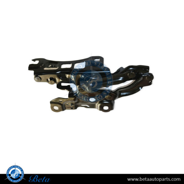 BMW 3 Series G20 (2019-Up), Hood Hinge (Left), China, 41008494431