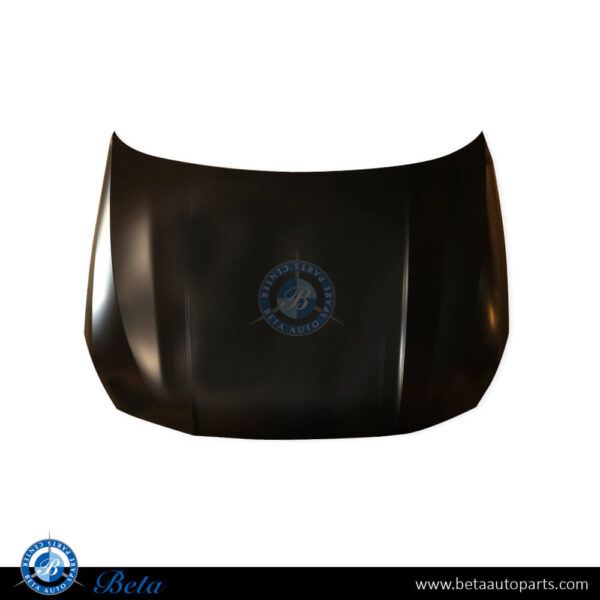BMW 1/2 Series F40 / F44 (2020-Up), Hood (Aluminum), Taiwan, 41009492428