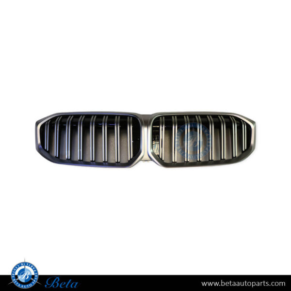 BMW 3 Series G20 LCI (2023-Up), Radiator Grille without Camera Hole, China, 51115A1BF69