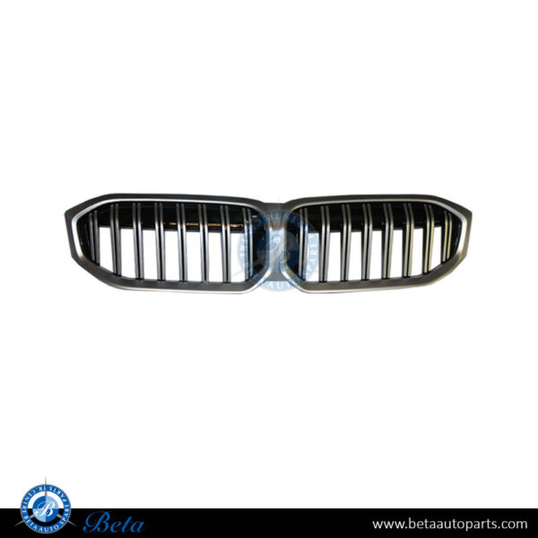 BMW 3 Series G20 LCI (2023-Up), Radiator Grille with Camera Hole, China, 51115A1BF70