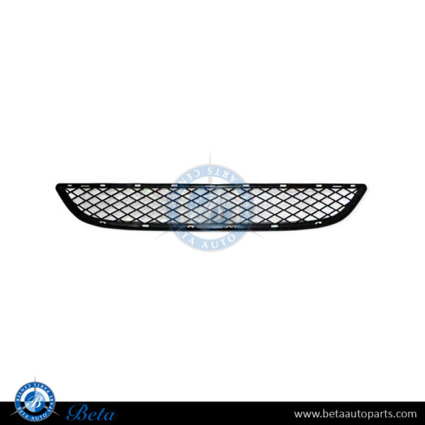 BMW X6 E71 (2008-2014), Front Bumper Lower Grille (Center), China, 51117176282