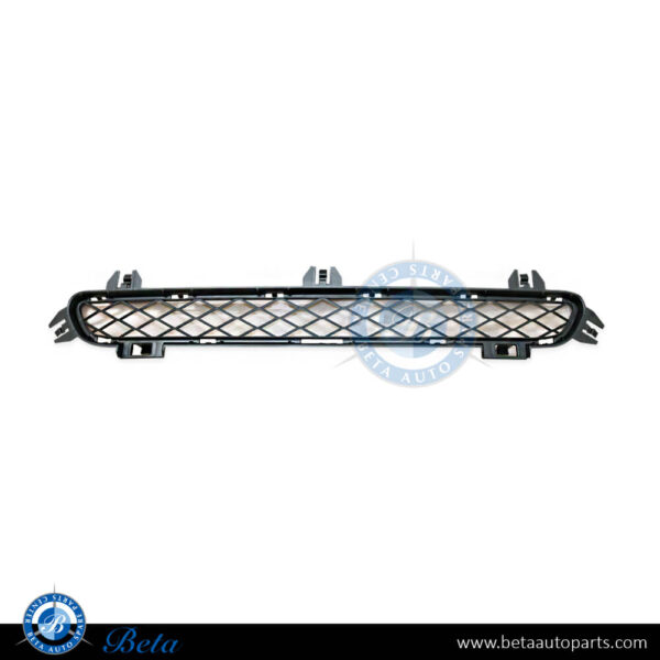 BMW X3 F25 (2011-2014), Front Bumper Upper Grille (Center), Taiwan, 51117210466