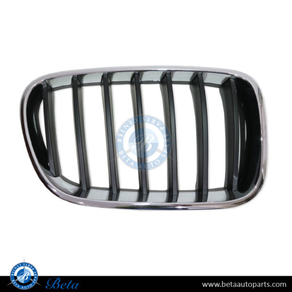 BMW X3 F25 (2011-2014), Radiator Grille (Left), China, 51117210725