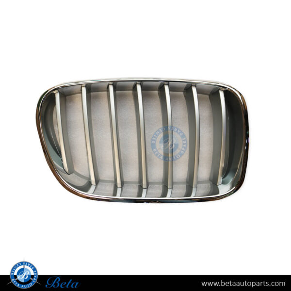BMW X3 F25 (2011-2014), Radiator Grille - Titanium (Left), China, 51117237421
