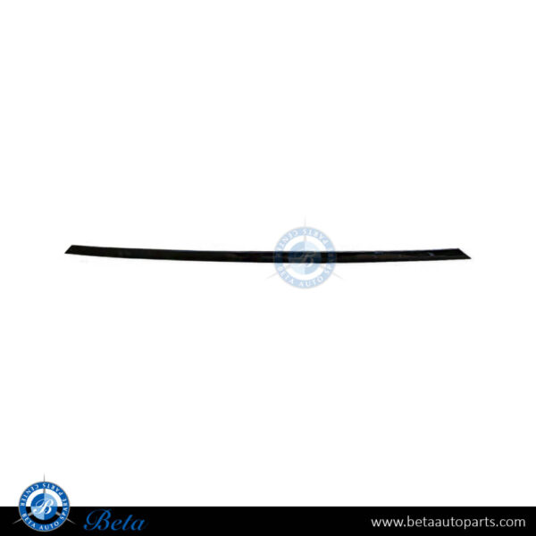 BMW 3 Series F30 (2012-2015), Front Bumper Center Moulding (Sport), Taiwan, 51117279699