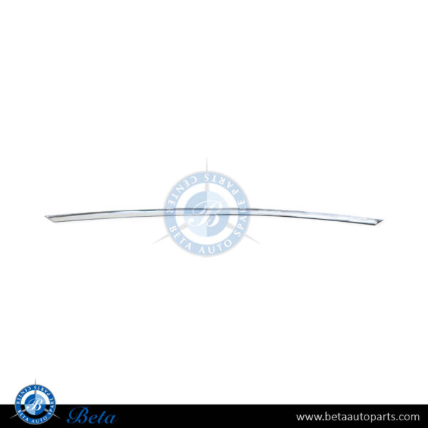 BMW 3 Series F30 (2012-2015), Front Bumper Center Moulding (Luxury), Taiwan, 51117279700