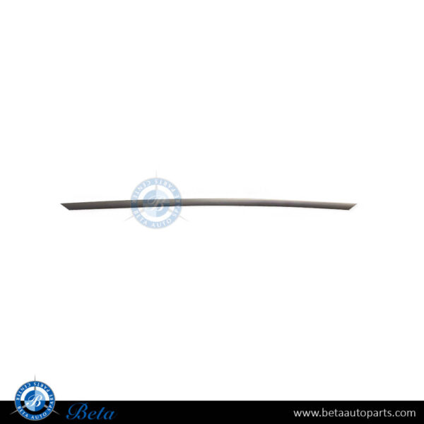 BMW 3 Series F30 (2012-2015), Front Bumper Center Moulding (Modern), Taiwan, 51117293094