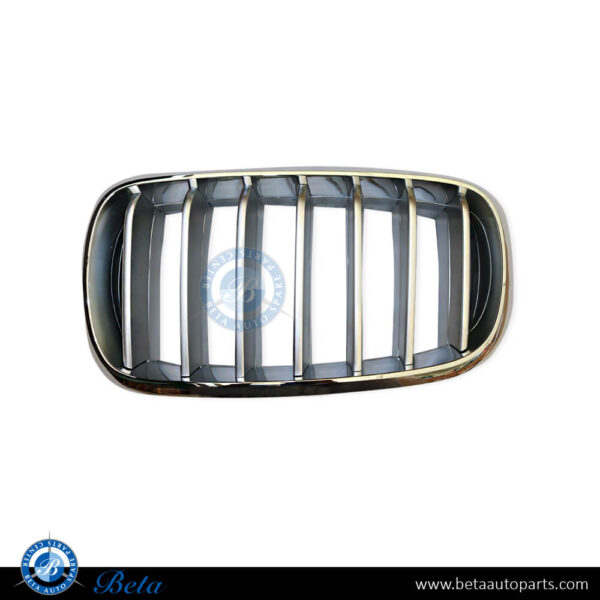 BMW X5 F15 (2014-2018), Radiator Grille - Titanium (Left), China, 51117303107