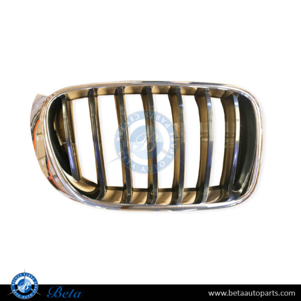 BMW X3 F25 LCI (2015-2017), Radiator Grille - Black and Chrome (Right), Taiwan, 51117338572