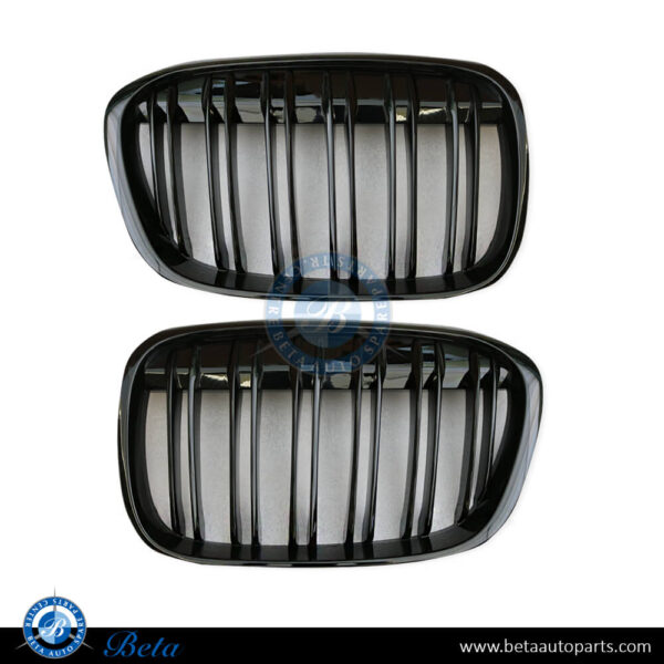 BMW X1 F48 (2016-2019), Radiator Grille 2 Line (Gloss Black), China, 51117383363 / 51117383364