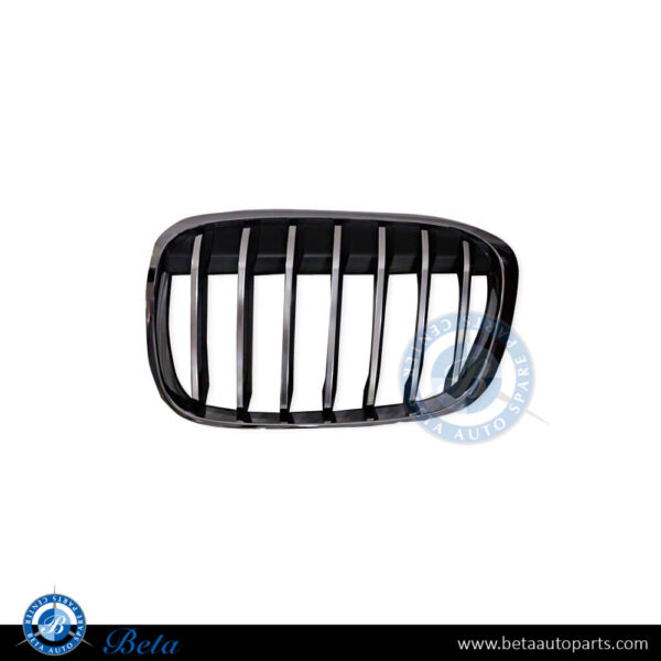 BMW X1 F48 (2016-2019), Radiator Grille - X-Line (Left), China, 51117383365