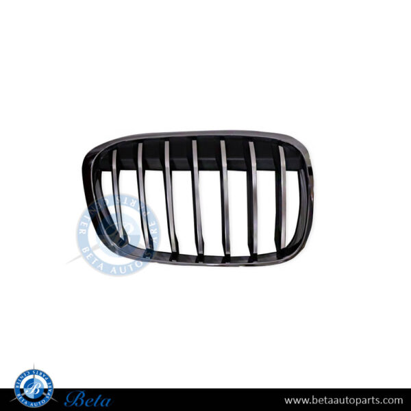 BMW X1 F48 (2016-2019), Radiator Grille - X-Line (Right), China, 51117383366
