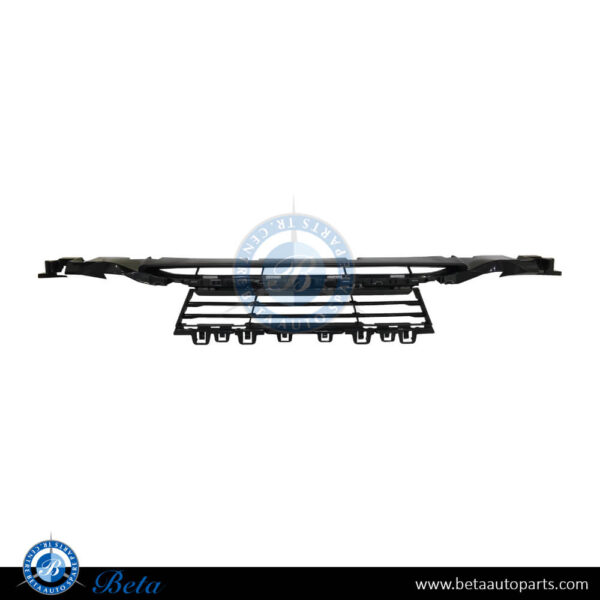 BMW 3 Series F30 LCI (2016-2018), Front Bumper Lower Grille (Center), China, 51117386152