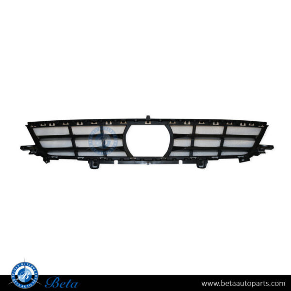 BMW X5 G05 (2019-2023), Front Bumper Lower Grille with ACC (Center), Taiwan, 51117421805