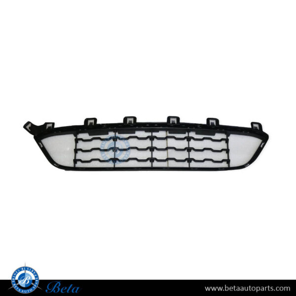 BMW X6 F16 (2015-2019), Front Bumper Lower Grille M-Tek (Center), China, 51118056521