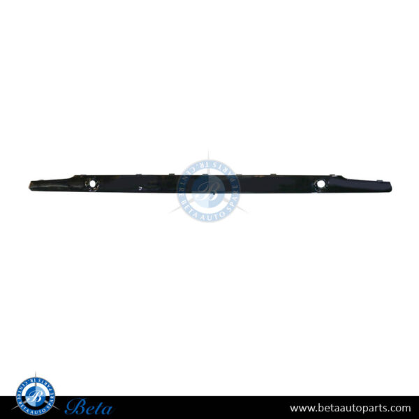 BMW 7 Series G11 / G12 LCI (2020-2022), Front Bumper Moulding M-Tek (Center), China, 51118076419