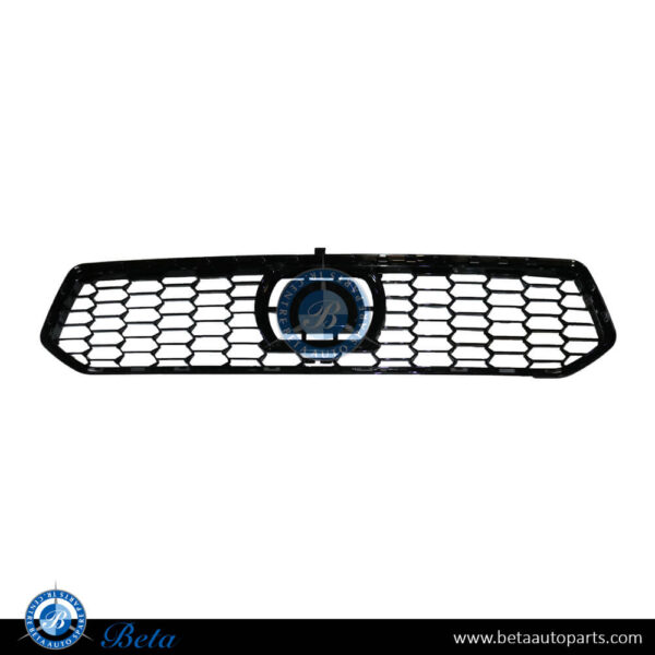 BMW 5 Series G30 LCI (2021-2023), Front Bumper Lower Grille M Look with ACC (Center), China, 51118080602