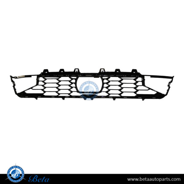 BMW 3 Series G20 LCI (2023-Up), Front Bumper Lower Grille M-Tek with ACC (Center), China, 51118085448