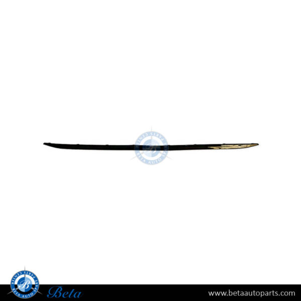 BMW 3 Series F30 (2012-2015), Rear Bumper Center Moulding (Sport), Taiwan, 51127288233